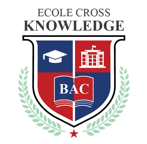 Cross~Knowledge Logo